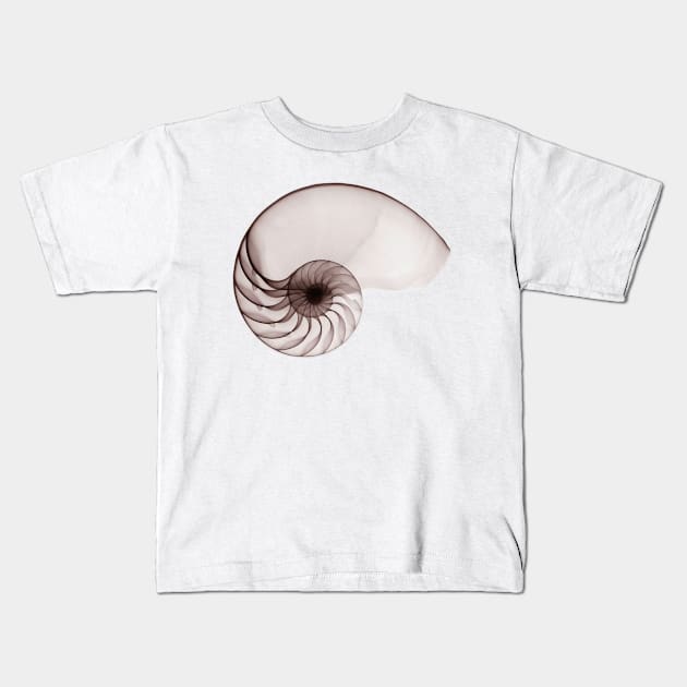 Porcelain Seashell Kids T-Shirt by hamptonstyle